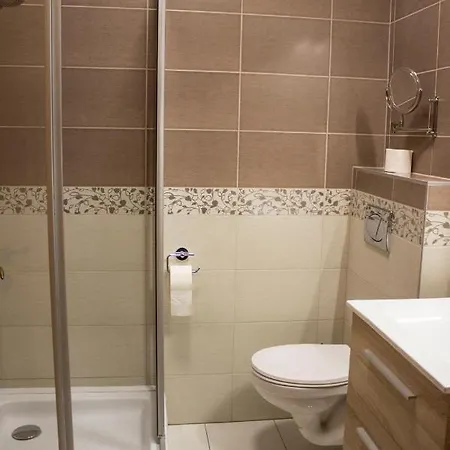 Vadasz Panzio Es Etterem 4* 松博特海伊